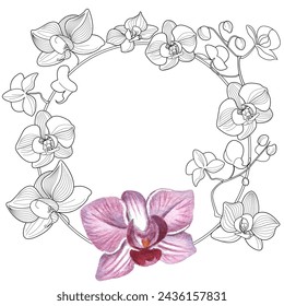 Art therapy coloring page. Linear image of orchid flowers. The pictures are perfect for creating cards, stickers, wallpapers and other projects.
