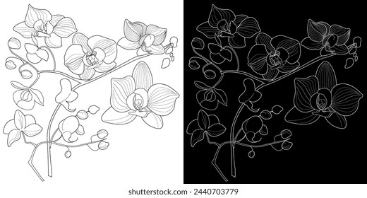 Art therapy coloring page. Linear image of orchid flowers. The pictures are perfect for creating cards, stickers, wallpapers and other projects.

