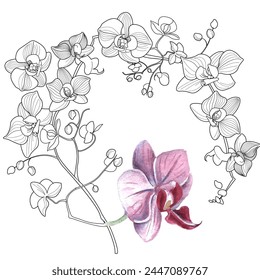 Page de coloriage d'art-thérapie. Image linéaire  de fleurs d'orchidées. Les images sont parfaites pour créer des cartes, des autocollants, des fonds d'écran et d'autres projets.
