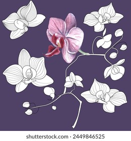 Art therapy coloring page. Linear image of orchid flowers. The pictures are perfect for creating cards, stickers, wallpapers and other projects.
