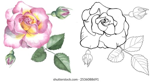 Art therapy coloring page. Linear image of roses. The pictures are perfect for creating cards, stickers, wallpapers and other projects.
