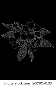 Art therapy coloring page. Linear image of roses. The pictures are perfect for creating cards, stickers, wallpapers and other projects.
