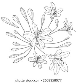 Art therapy coloring page. Linear image of roses. The pictures are perfect for creating cards, stickers, wallpapers and other projects.
