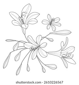 Art therapy coloring page. Linear image of roses. The pictures are perfect for creating cards, stickers, wallpapers and other projects.
