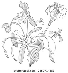Página de coloração da arte-terapia. Imagem linear da orquídea. As fotos são perfeitas para a criação de cartões, adesivos, papéis de parede e outros projetos.