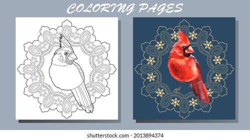 Art therapy coloring page. Outline Mandala and and Cardinal birds. Decorative round ornament. Anti-stress therapy scheme. Weaving design element.