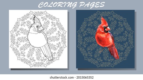Art therapy coloring page. Outline Mandala and and Cardinal birds. Decorative round ornament. Anti-stress therapy scheme. Weaving design element.
