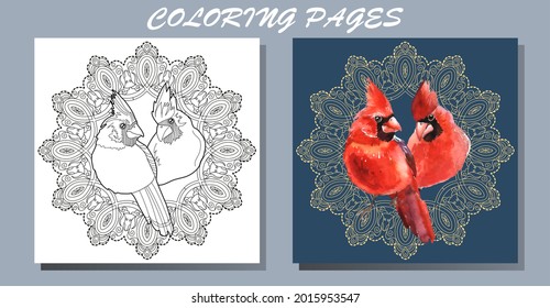 Art therapy coloring page. Outline Mandala and and Cardinal birds. Decorative round ornament. Anti-stress therapy scheme. Weaving design element.