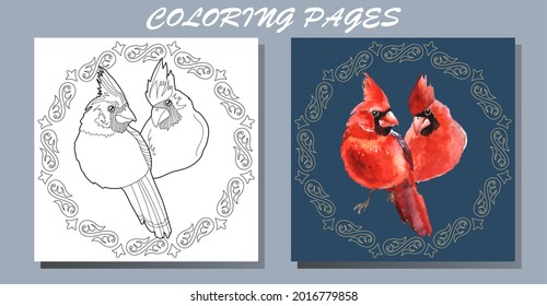 Art therapy coloring page. Outline Mandala and Cardinal birds for coloring. Decorative round ornament. Anti-stress therapy scheme. Weaving design element.