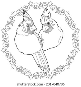 Art therapy coloring page. Outline Mandala and and Cardinal birds. Decorative round ornament. Anti-stress therapy scheme. Weaving design element.