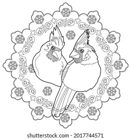 Art therapy coloring page. Outline Mandala and and Cardinal birds. Decorative round ornament. Anti-stress therapy scheme. Weaving design element.