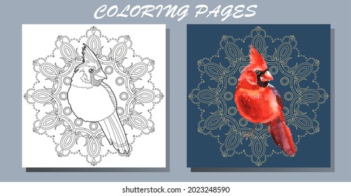 Art therapy coloring page. Outline Mandala and Cardinal birds for coloring. Decorative round ornament. Anti-stress therapy scheme. 