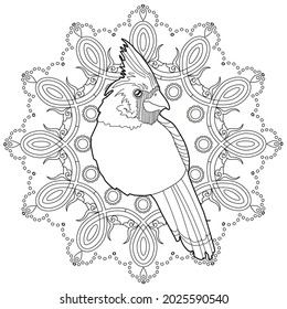 Art therapy coloring page. Outline Mandala and Cardinal birds for coloring. Decorative round ornament. Anti-stress therapy scheme. Weaving design element.