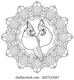 Art therapy coloring page. Outline Mandala and Cardinal birds for coloring. Decorative round ornament. Anti-stress therapy scheme. Weaving design element.