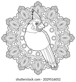 Art therapy coloring page. Outline Mandala and Cardinal birds for coloring. Decorative round ornament. Anti-stress therapy scheme. Weaving design element.