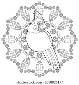 Art therapy coloring page. Outline Mandala and Cardinal birds are a symbol of Christmas.. Decorative round ornament. Anti-stress therapy scheme. Weaving design element.