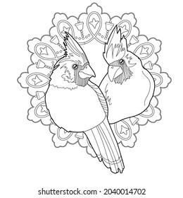 Art therapy coloring page. Outline Mandala and Cardinal birds are a symbol of Christmas.. Decorative round ornament. Anti-stress therapy scheme. Weaving design element.