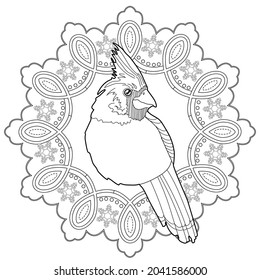 Art therapy coloring page. Outline Mandala and Cardinal birds are a symbol of Christmas.. Decorative round ornament. Anti-stress therapy scheme. Weaving design element.