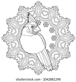 Art therapy coloring page. Outline Mandala and Cardinal birds are a symbol of Christmas.. Decorative round ornament. Anti-stress therapy scheme. Weaving design element.