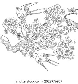 Art therapy coloring page. Swallow birds in vintage style with blossoming cherry branches. Linear engraving art. Romantic concept.