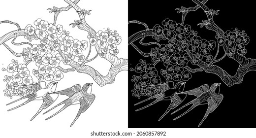 Art therapy coloring page. Swallow birds in vintage style with blossoming cherry branches. Linear engraving art. Romantic concept.