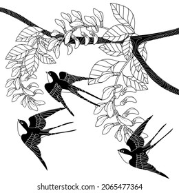 Página de coloreo de la terapia artística. Trague las aves en un estilo vintage con ramas de cerezo florecientes. Arte de grabado lineal. Concepto romántico.