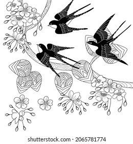 Art therapy coloring page. Swallow birds in vintage style with blossoming cherry branches. Linear engraving art. Romantic concept.