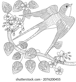 Página de coloreo de la terapia artística. Trague las aves en un estilo vintage con ramas de cerezo florecientes. Arte de grabado lineal. Concepto romántico.