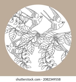 Art therapy coloring page. Swallow birds in vintage style with blossoming cherry branches. Linear engraving art. Romantic concept.