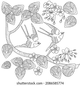 Art therapy coloring page. Swallow birds in vintage style with blossoming cherry branches. Linear engraving art. Romantic concept.