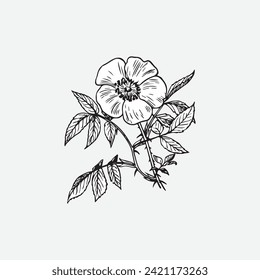 Art Valentine's Day Vector Design