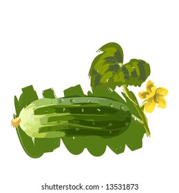 Art. Vector illustration of cucumber