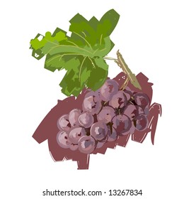 Art. Vector illustration of grape