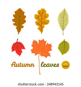 Art vector set. Autumn leaves
