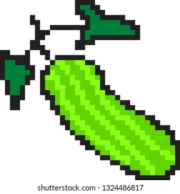 art vegetable cucumber