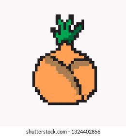 art vegetable Onion