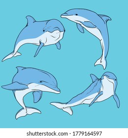 art work illustration and t-shirt design dolphin pose set bundle premium vector