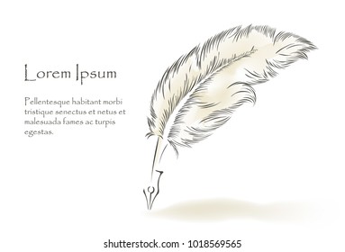 art writing old feather paint with text