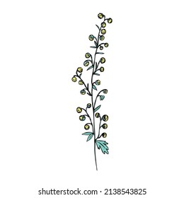 Artemisia absinthium, wormwood hand drawn vector ink color sketch isolated on white, Also called absinthium absinthe wormwood, Common Wormwood herb, Absinthe plant, Doodle Healing for design alcohol