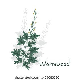 Artemisia isolated green vector plant