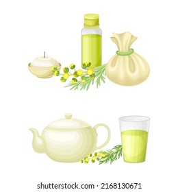 Artemisia mongolica, flowering herbaceous medicinal plant. Fresh and dried wormwood vector illustration