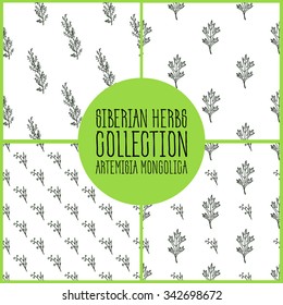 Artemisia mongolica - Siberian herbs pattern collection. Handdrawn Illustration - Health and Nature Set