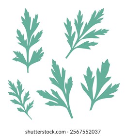 Artemisia Vulgaris Illustration, Green Silhouette, Herbal Plant Design, set