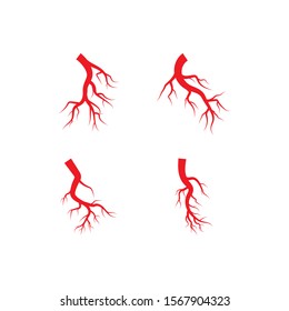 Arterial illustration vector flat design