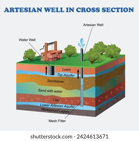 Artesian well and water well diagram. Science education vector 3d illustration