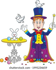 Artful circus magician illusionist with a mysterious hat and a magic wand, conjuring tricks with a small white rabbit and birds in an entertaining show on a stage, vector cartoon illustration