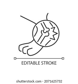 Arthritis linear icon. Pet joints inflammation. Animal disease. Lameness and stiffness symptoms. Thin line customizable illustration. Contour symbol. Vector isolated outline drawing. Editable stroke