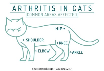 Arthritis, osteoarthritis in cats. Widespread feline disease. Common arreas affected. Medical scheme. Animal health. Editable isolated vector illustration in outline style on a white background