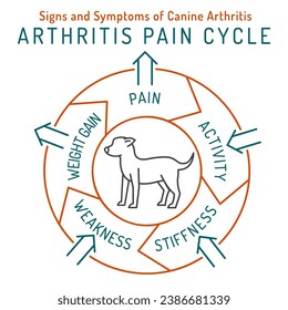 Arthritis, osteoarthritis in dogs. Common disease. Veterinarian infographics. Medical concept. Animal health. Editable isolated vector illustration in outline style on a white background