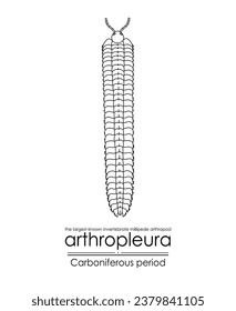 Arthropleura, the largest-known invertebrate, millipede arthropod, extinct creature from the Carboniferous Period, black and white line art illustration. Ideal for coloring and educational purposes